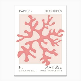 H Matisse 49 Canvas Print