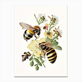 Forager Bees Vintage Canvas Print