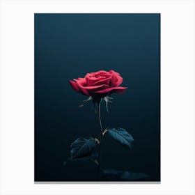 Dark Rose 49 Canvas Print