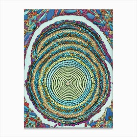 Circle Of Stones Canvas Print