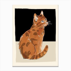Cat 11 Canvas Print