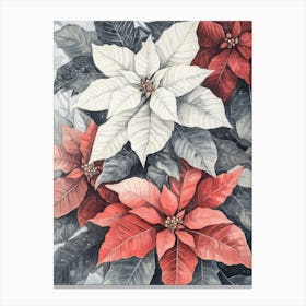 Christmas Red and White Flowers Canvas Print