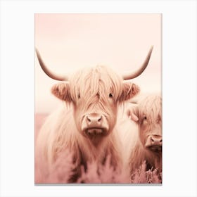 Portrait Of Two Highland Cows In The Field Pink Realistic Photography 1 Canvas Print