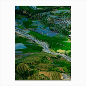 Rice Fields In Vietnam Canvas Print