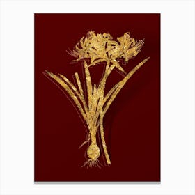Vintage Golden Hurricane Lily Botanical in Gold on Red Canvas Print