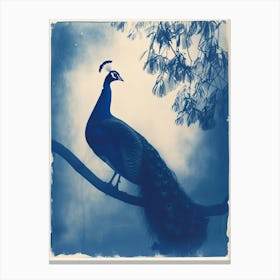 Peacock In The Tree Cyanotype Inspired 4 Canvas Print