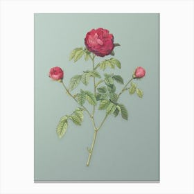 Vintage Agatha Rose in Bloom Botanical Art on Mint Green n.0550 Canvas Print