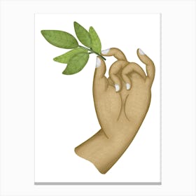 Delicate goddess hand holding green leaves Canvas Print