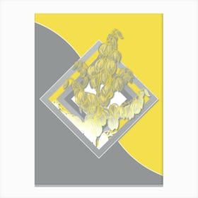Vintage Aloe Yucca Botanical Geometric Art in Yellow and Gray n.187 Canvas Print