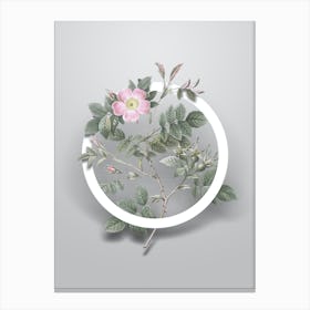 Vintage Malmedy Rose Minimalist Flower Geometric Circle on Soft Gray Canvas Print