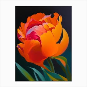 Single Stem Of Peony Orange Colourful Painting Canvas Print
