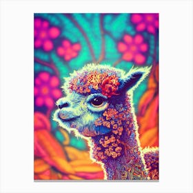 Colorful Alpaca Canvas Print