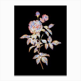 Stained Glass One Hundred Leaved Rose Mosaic Botanical Illustration on Black Canvas Print
