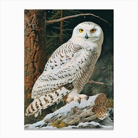 Snowy Owl Relief Illustration 2 Canvas Print