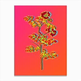 Neon Scorpion Vetch Plant Botanical in Hot Pink and Electric Blue n.0268 Canvas Print