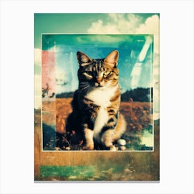 Abstract Of A Cat Canvas Print