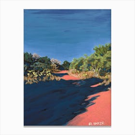 Spring Lake Preserve Canvas Print