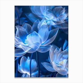 Lotus Flower 12 Canvas Print