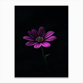 Purple Flower 4 Canvas Print