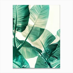 Tropical Leaves 127 Canvas Print