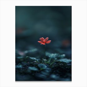 Single Red Flower 13 Canvas Print