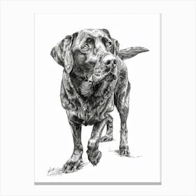 Labrador Dog Line Sketch Canvas Print