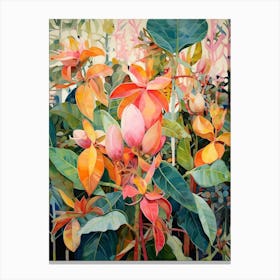 Tropical Plant Painting Rubber Tree Plant 1 Canvas Print