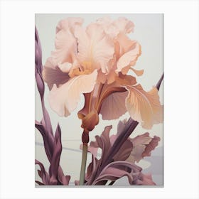 Floral Illustration Iris 1 Canvas Print