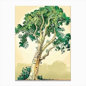 Sycamore Tree Storybook Illustration 3 Canvas Print