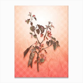 Judas Tree Vintage Botanical in Peach Fuzz Tartan Plaid Pattern n.0020 Canvas Print