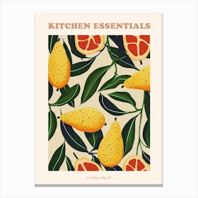 Citrus Fruit Abstract Illustration Poster 2 Canvas Print