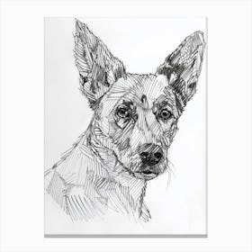 Pointed Dog Line Sketch 1 Canvas Print
