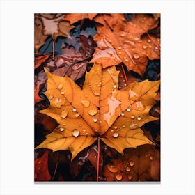 Autumn Leaves after Rain 1 Canvas Print