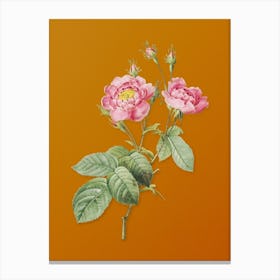 Vintage Anemone Centuries Rose Botanical on Sunset Orange n.0841 Canvas Print