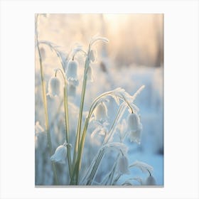 Frosty Botanical Lily Of The Valley 3 Canvas Print