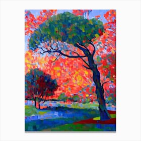 River Red Gum Tree Cubist Canvas Print