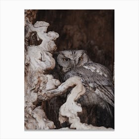 Owl Hiding In Tree Canvas Print