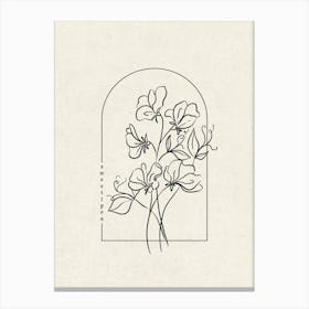 Sweet Pea Flower Canvas Print