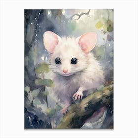 Light Watercolor Painting Of A Nocturnal Possum 2 Canvas Print