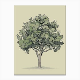 Walnut Tree Minimalistic Drawing 2 Canvas Print