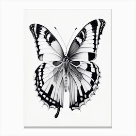 Monochrome Butterfly Decoupage 3 Canvas Print
