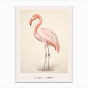 Vintage Bird Drawing Greater Flamingo Poster Canvas Print