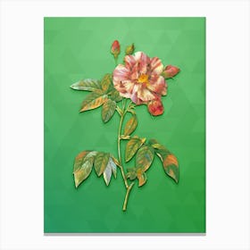 Vintage Variegated French Rosebush Botanical Art on Classic Green Canvas Print