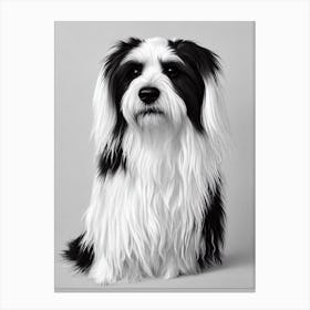 Tibetan Terrier B&W Pencil dog Canvas Print