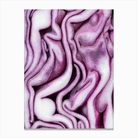 Abstract red cabbage pattern - Purple and white pattern - Food photography and macro photography by Christa Stroo Photography Canvas Print