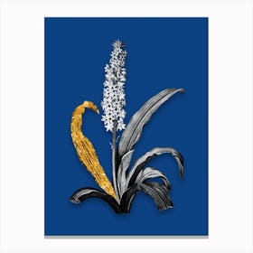 Vintage Eucomis Punctata Black and White Gold Leaf Floral Art on Midnight Blue n.0817 Canvas Print