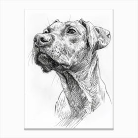 Dog Pencil Line Sketch 1 Canvas Print