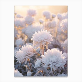 Frosty Botanical Chrysanthemum 2 Canvas Print