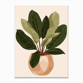 Ficus Plant In A Pot Canvas Print