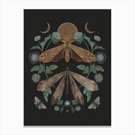 Moon And Moths symmetrical insect art Canvas Print